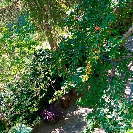 Lassithi Plateau Traditional Suite Agios Georgios  Exterior photo